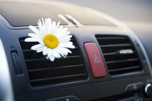 Klimaservice - AUTOFIT Pehlivan Uchte